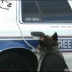 Dog vs Police Patrol Car
